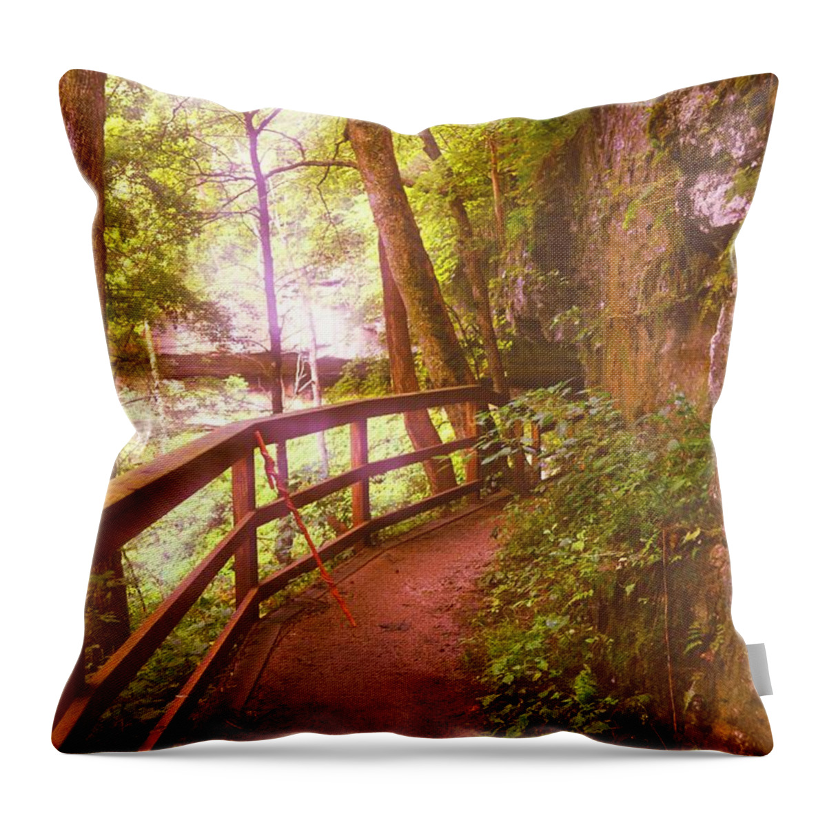 Mammoth Cave National Park Throw Pillow featuring the photograph Around the Dark Forest Bend by Stacie Siemsen