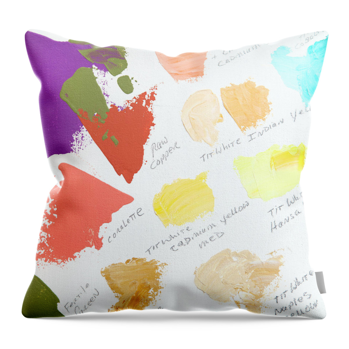 Face Mask Throw Pillow featuring the photograph Artist Paint Splotch by Theresa Tahara
