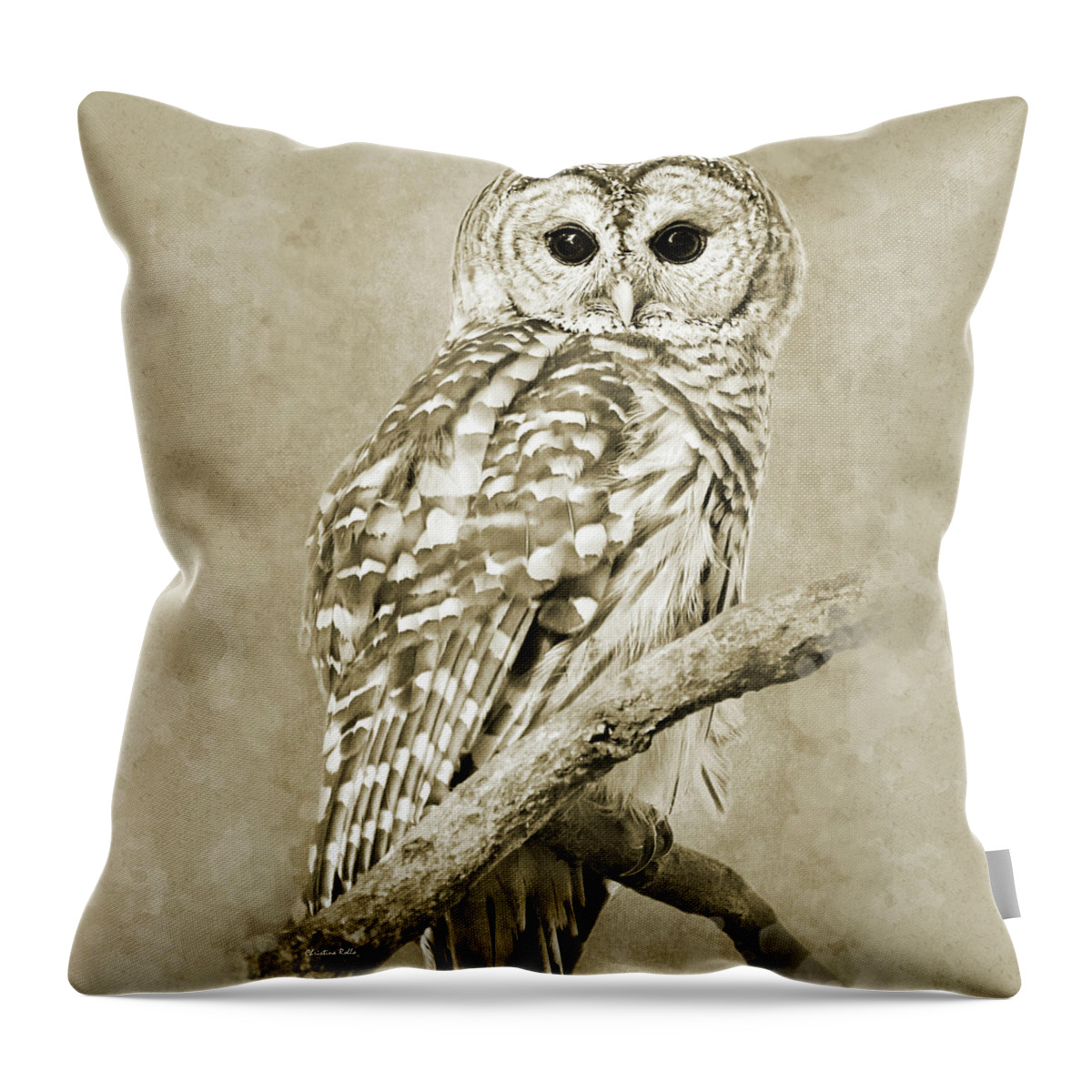 Owl Throw Pillow featuring the photograph Sepia Owl by Christina Rollo