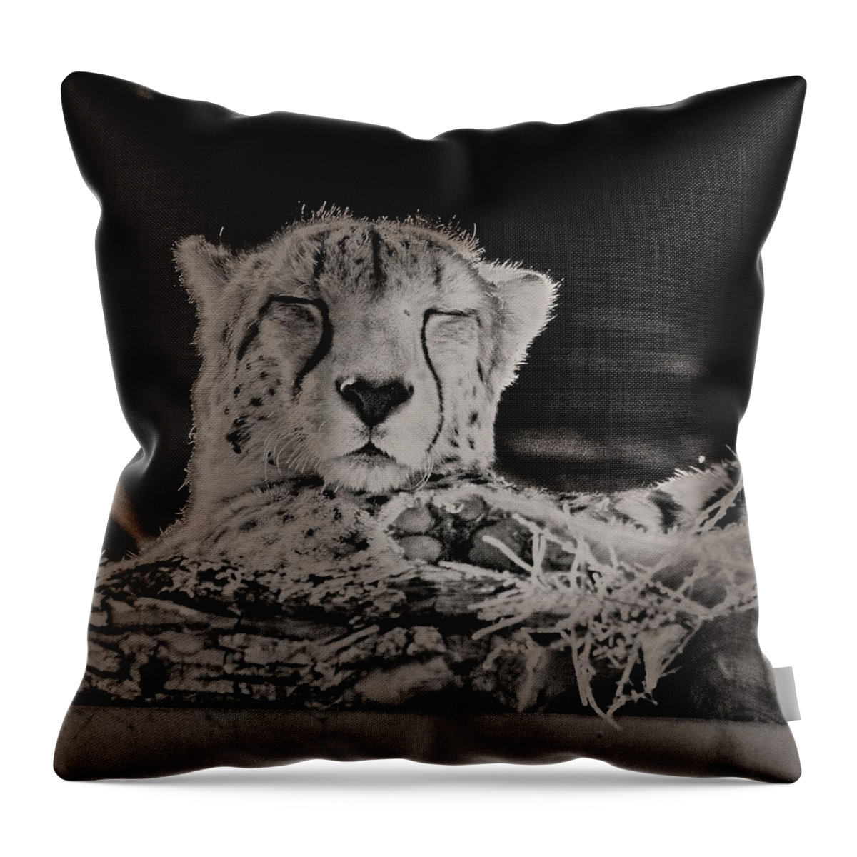 Colorado Throw Pillow featuring the photograph Cheetah Snoozing In The Sun by Loren Gilbert