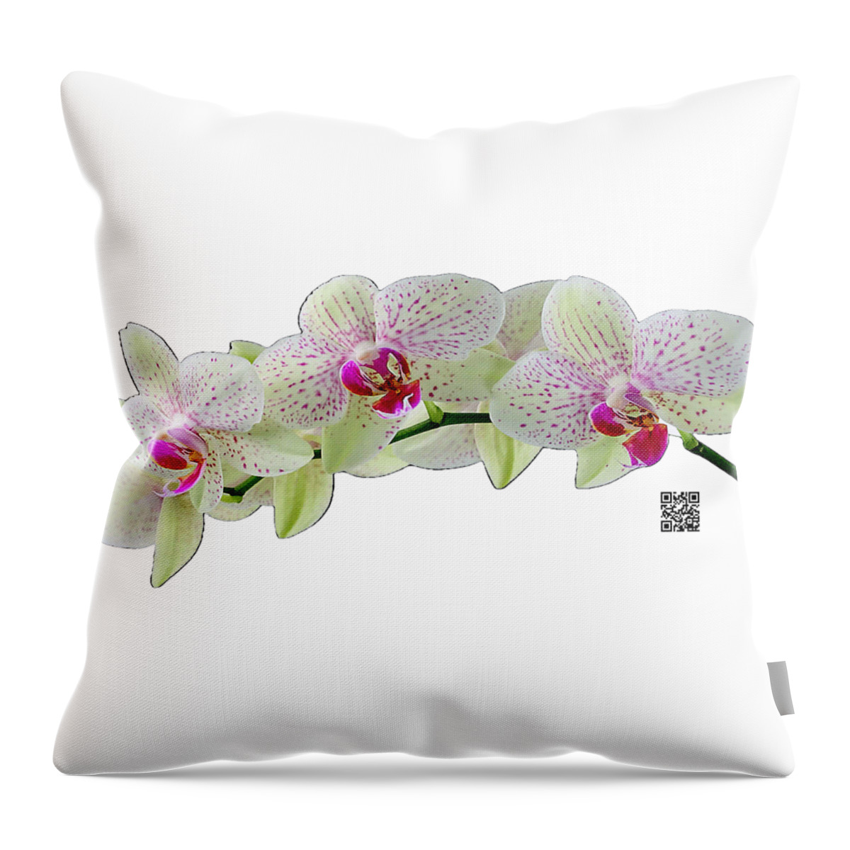 Orchids Throw Pillow featuring the mixed media As Delicate as You by Rafael Salazar