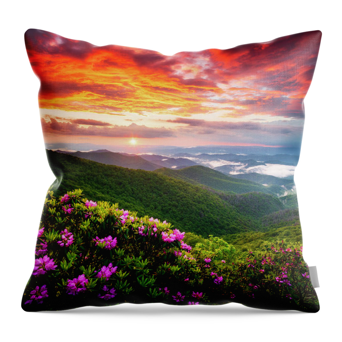 Blue Ridge Parkway Throw Pillow featuring the photograph Asheville North Carolina Blue Ridge Parkway Scenic Sunset Landscape by Dave Allen