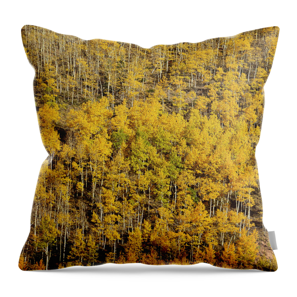 Aspen Throw Pillow featuring the photograph Aspen Texture by Aaron Spong
