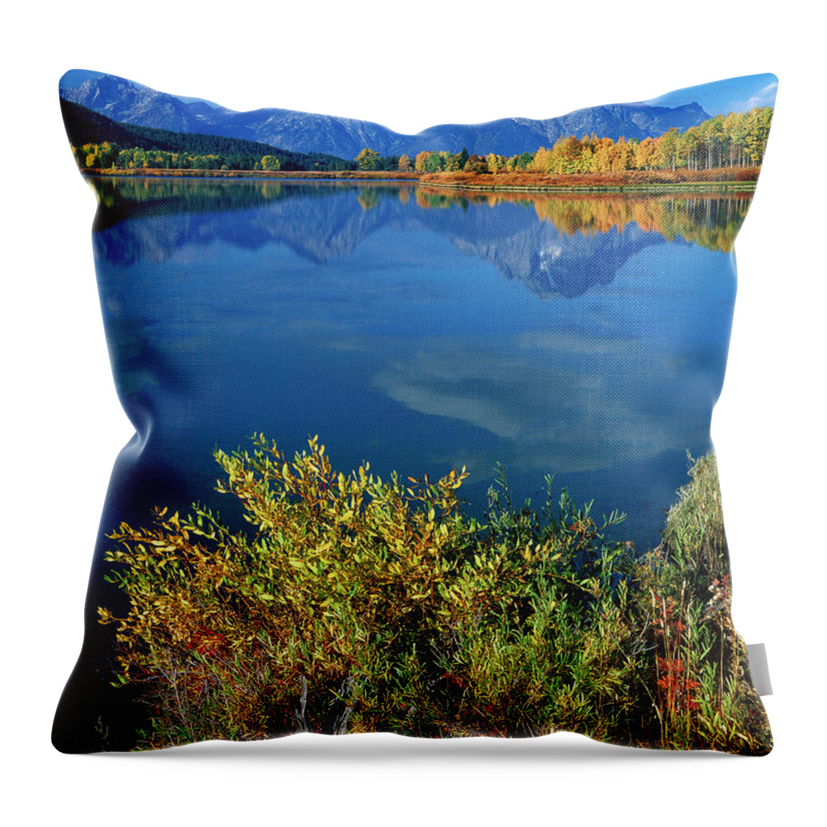 Dave Welling Throw Pillow featuring the photograph Aspens Fall Oxbow Bend Grand Tetons National Park by Dave Welling