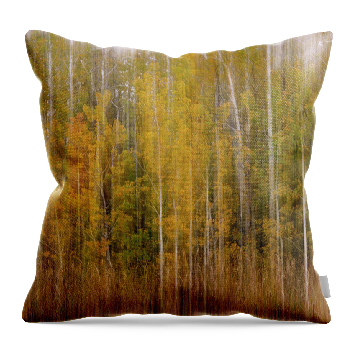 Aspen Autumn Trees Fall Watercolor Scenic Abstract Landscape Blur Wisconsin Forest Peter Herman Throw Pillow featuring the photograph Aspenscape - intentional camera motion blur on aspen grove in autumn scene by Peter Herman