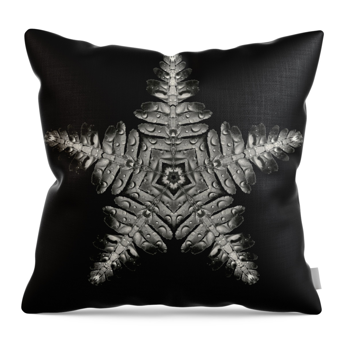 Asteroidea Throw Pillow featuring the photograph Asteroidea Polypodiophyta - Starfish Fern creation by Peter Herman