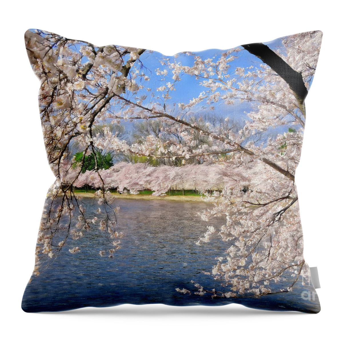 Cherry Blossom Festival Throw Pillow featuring the photograph At Peak Bloom by Lois Bryan