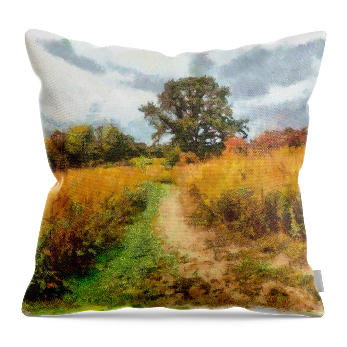Field Throw Pillow featuring the mixed media Autumn Afternoon on the Trail by Christopher Reed