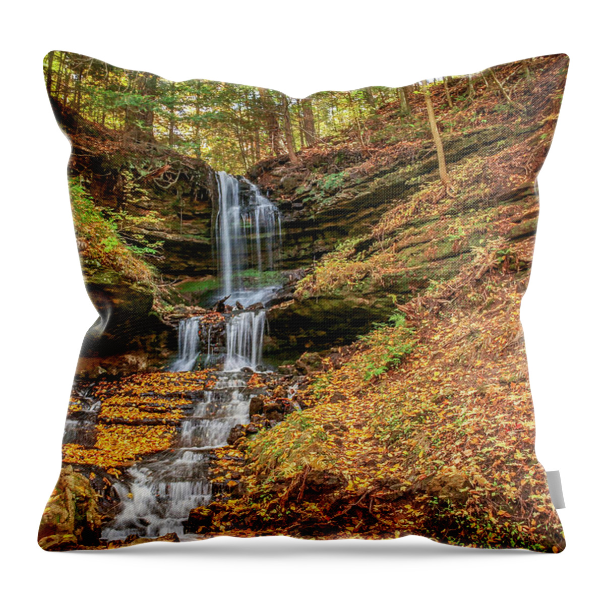 America Throw Pillow featuring the photograph Autumn at Horseshoe Falls by Robert Carter