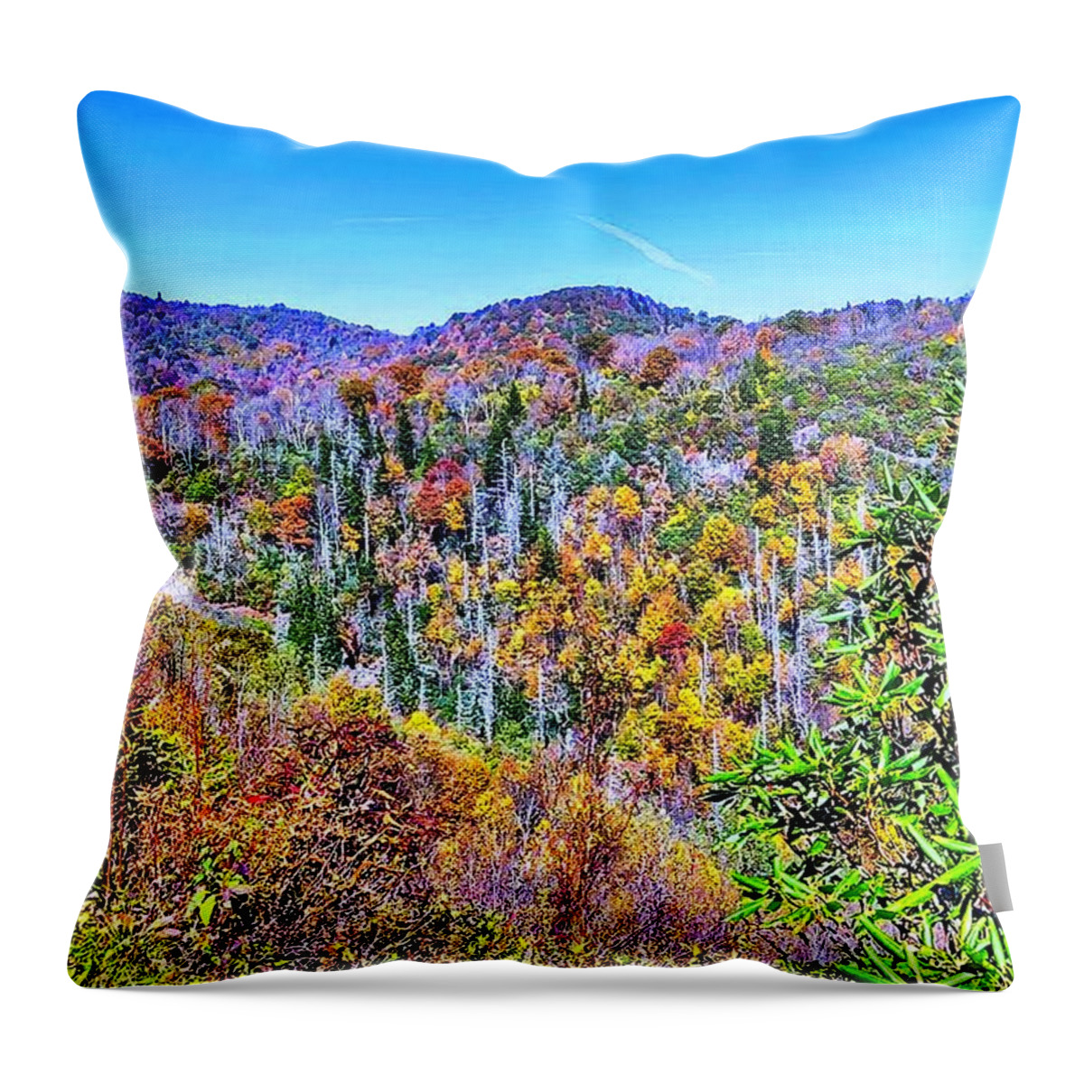 Autumn Throw Pillow featuring the photograph Autumn Colors by Allen Nice-Webb