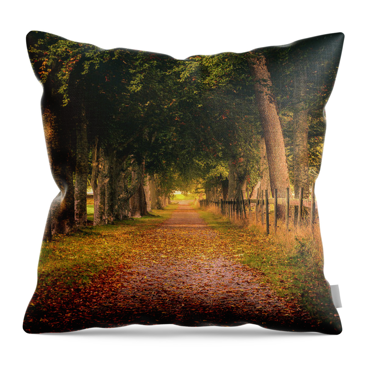 Autumn Throw Pillow featuring the photograph Autumn Country Road by Nicklas Gustafsson