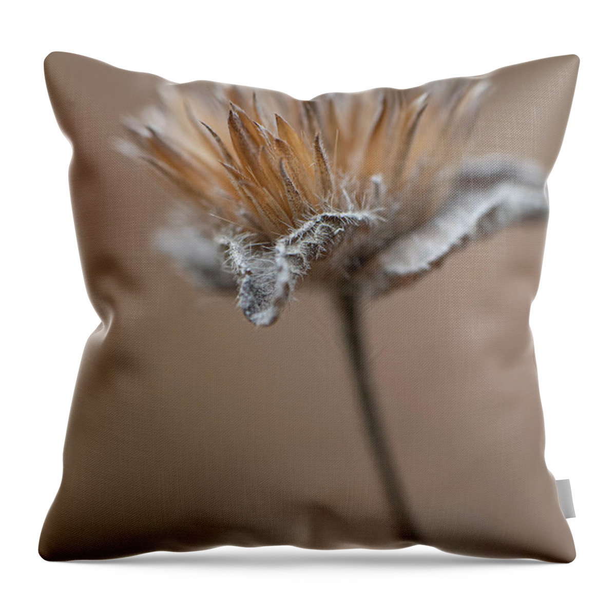 Autumn Throw Pillow featuring the photograph Autumn Dried Flower by Karen Rispin
