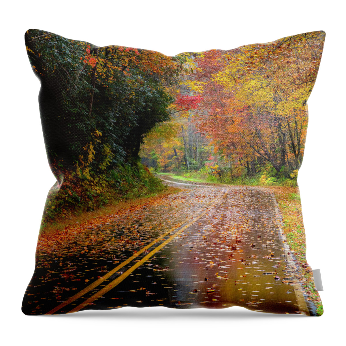 Carolina Throw Pillow featuring the photograph Autumn Drive II by Debra and Dave Vanderlaan