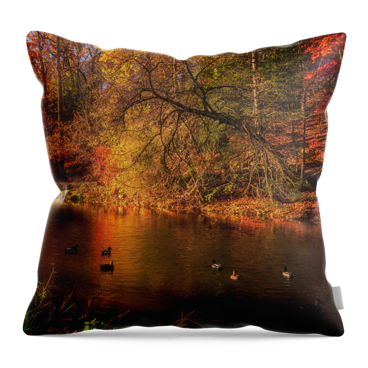Lehigh Parkway Throw Pillow featuring the photograph Autumn Ducks on the Little Lehigh Creek by Jason Fink