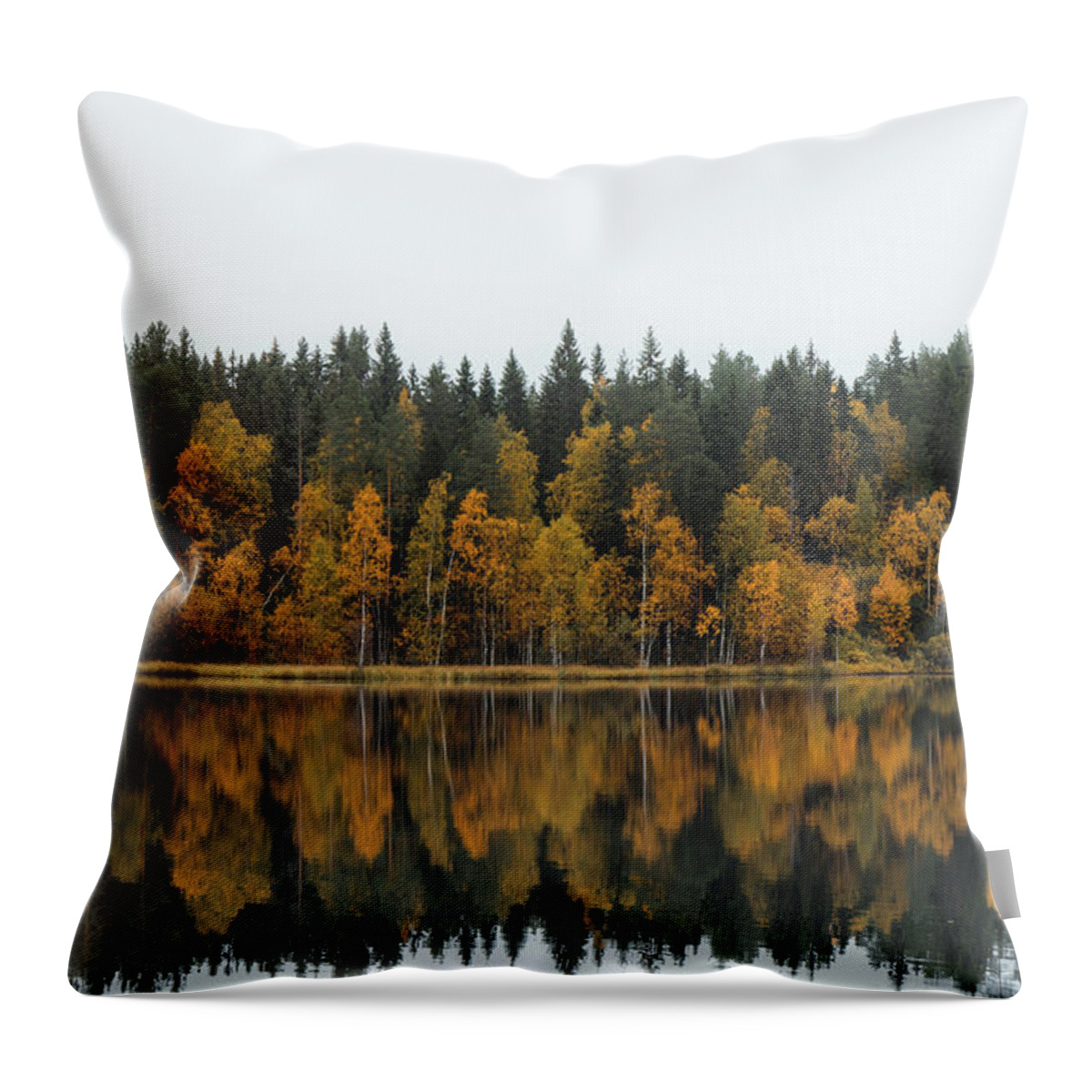 Dramatic Throw Pillow featuring the photograph Autumn fairy tale in Kainuu, Finland by Vaclav Sonnek