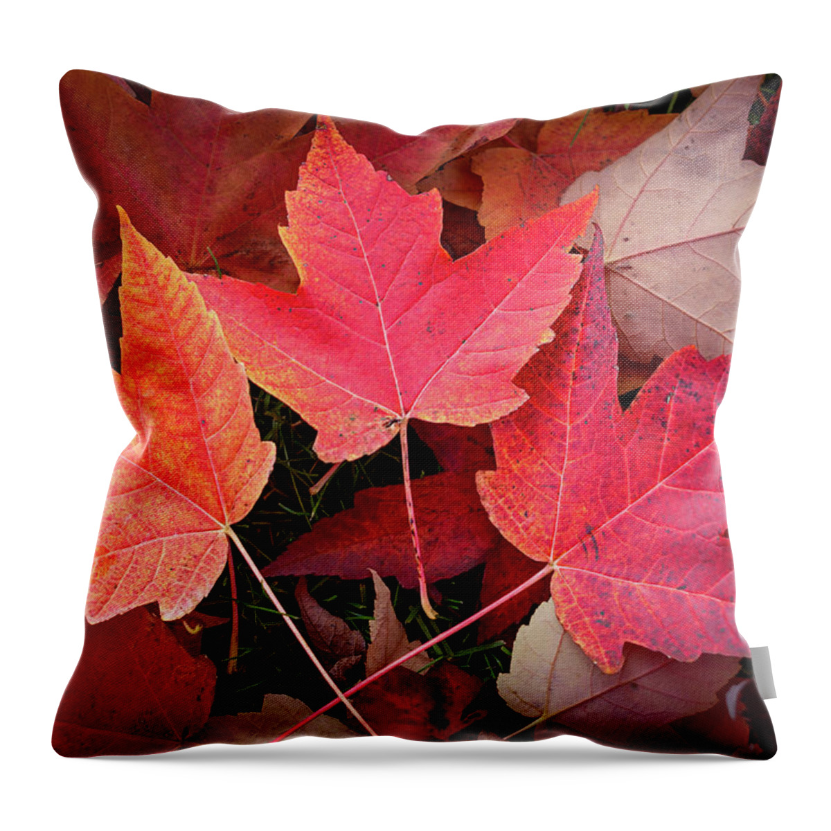 Nature Throw Pillow featuring the digital art Autumn / Fall leaves Painting by Rick Deacon