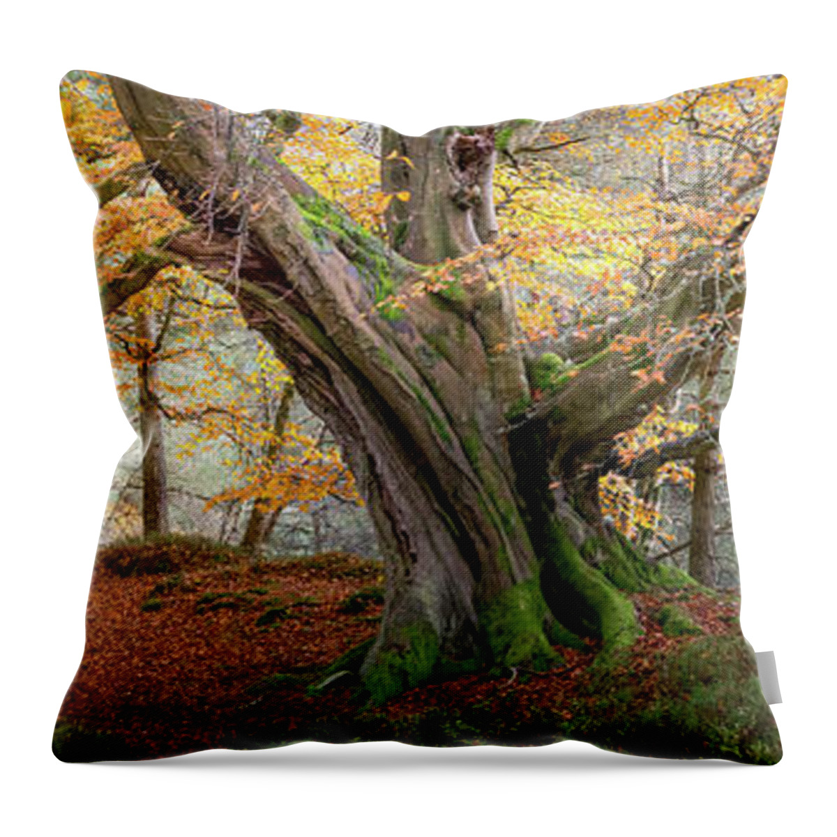 Autumn Throw Pillow featuring the photograph Monarch of the Forest by Anita Nicholson