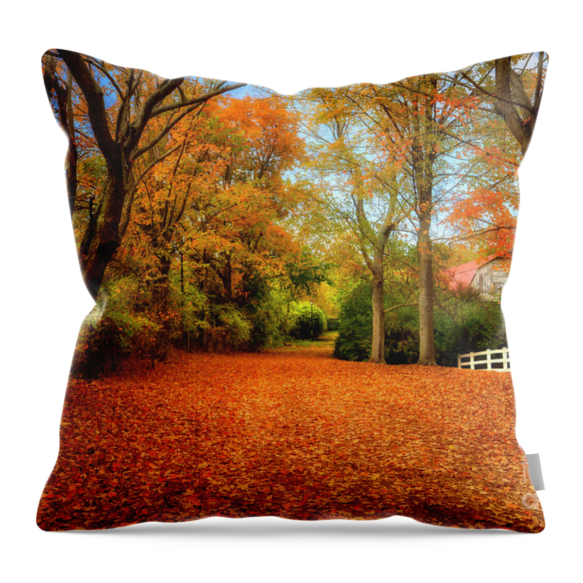 Autumn Throw Pillow featuring the photograph Autumn in the Country by Shelia Hunt
