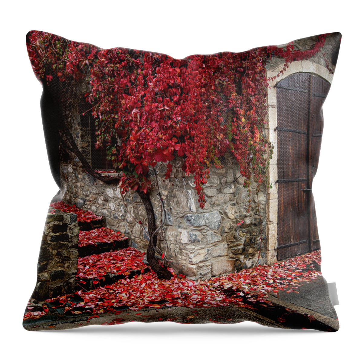 Autumn Throw Pillow featuring the photograph Autumn landscape with red plants on a hous wall by Michalakis Ppalis