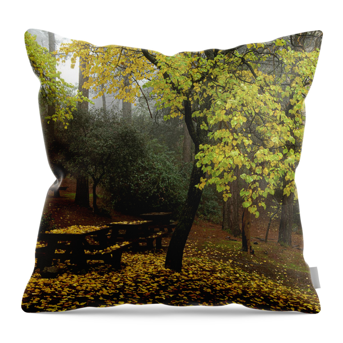 Autumn Throw Pillow featuring the photograph Autumn landscape with trees and yellow leaves on the ground after rain by Michalakis Ppalis