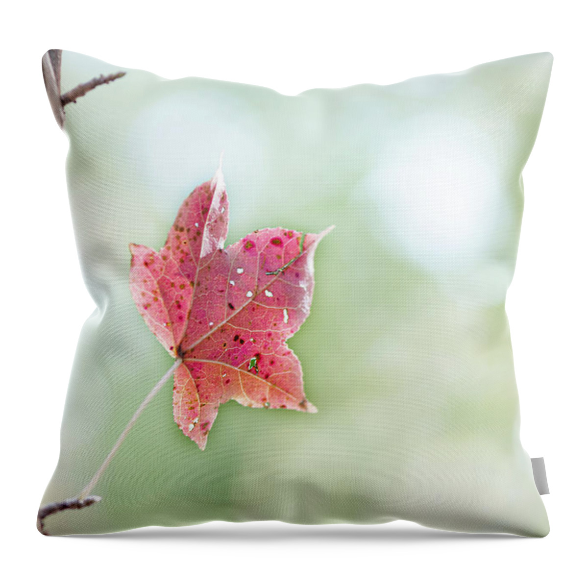 Fall Throw Pillow featuring the photograph Autumn Leaf by Karen Rispin