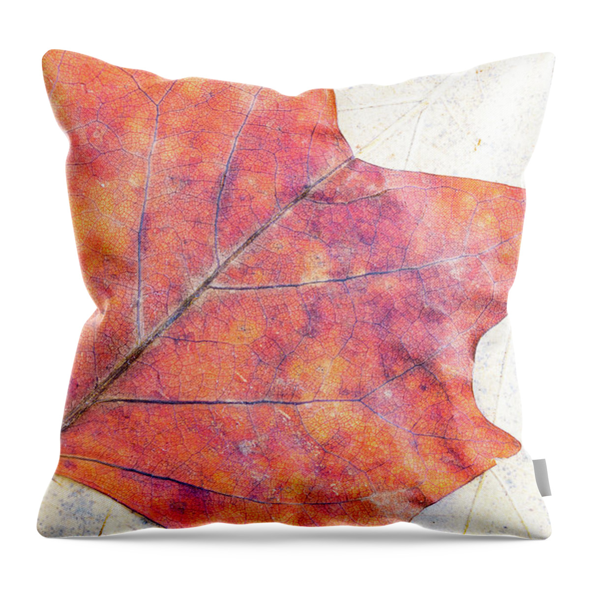 Autumn Throw Pillow featuring the photograph Autumn leaves composition by Viktor Wallon-Hars