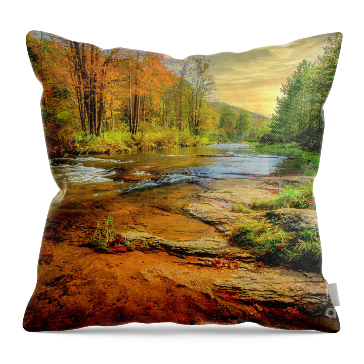 Elk River Throw Pillow featuring the photograph Autumn on Elk River by Shelia Hunt