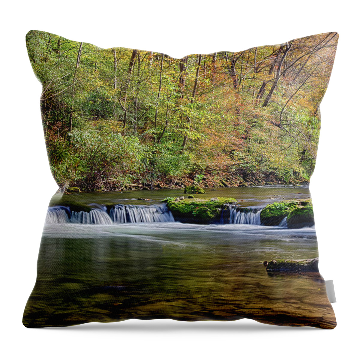 Autumn Throw Pillow featuring the photograph Autumn on Nine Mile Creek by Rod Best