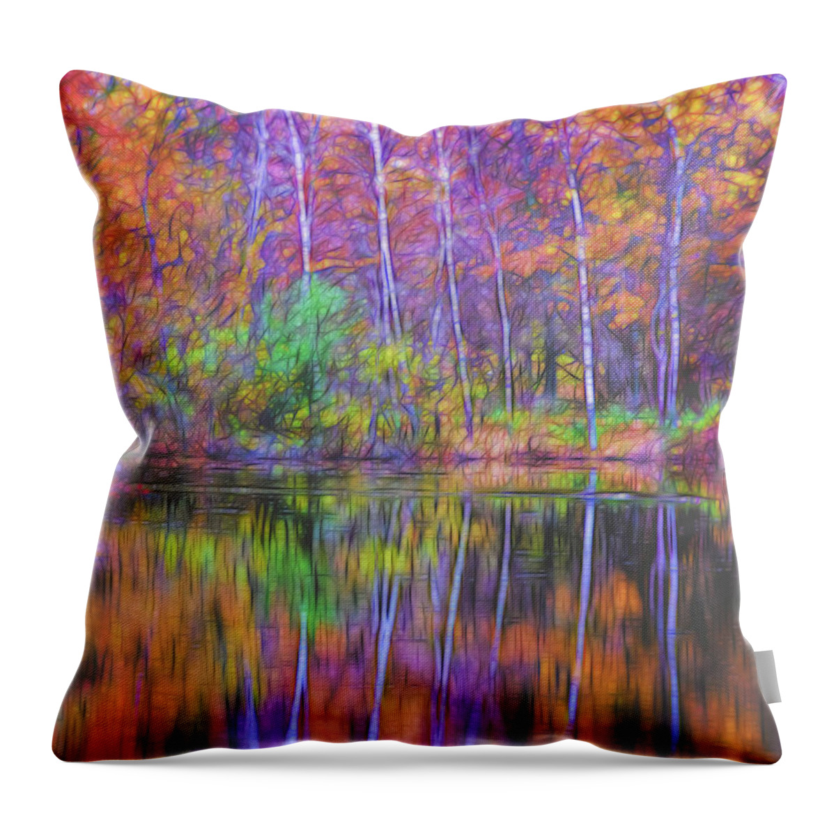 Lake Reflection Throw Pillow featuring the photograph Autumn Reflection II by Tom Singleton