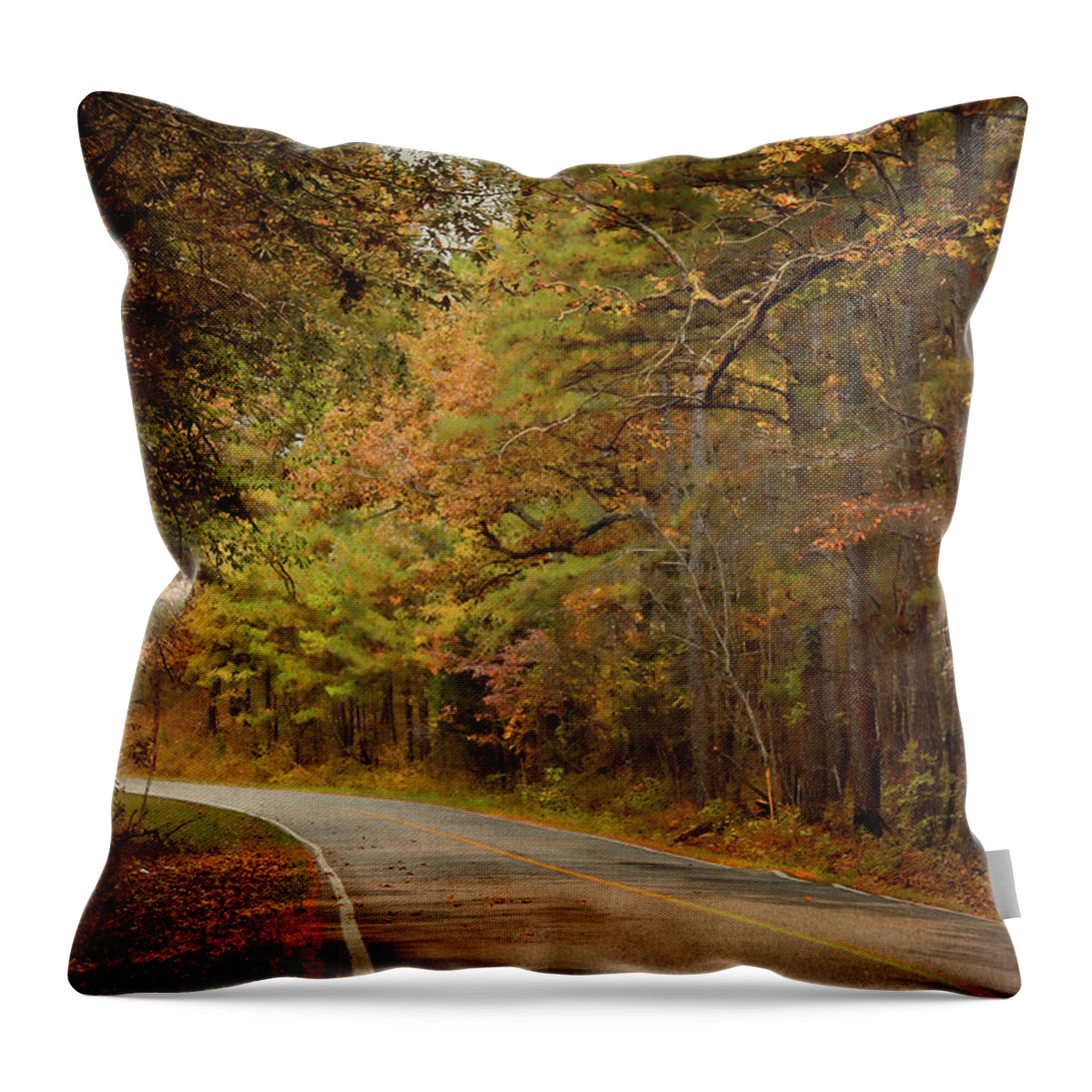 Arkansas Throw Pillow featuring the photograph Autumn Road by Lana Trussell
