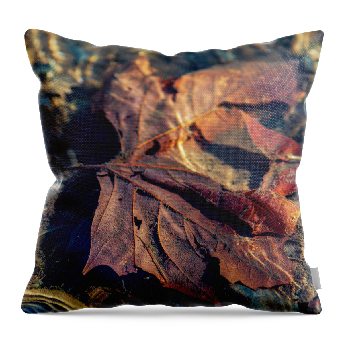 Seasons Throw Pillow featuring the photograph Autumn Underwater - Upper Delaware River by Amelia Pearn