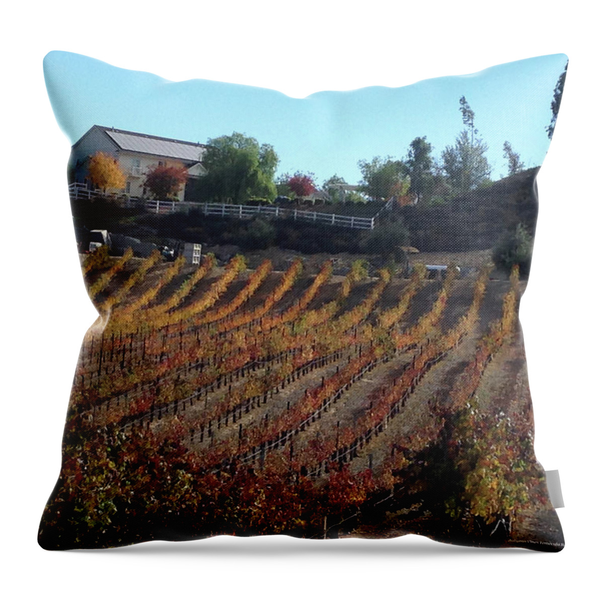 Autumn Throw Pillow featuring the photograph Autumn Vines Temecula by Roxy Rich