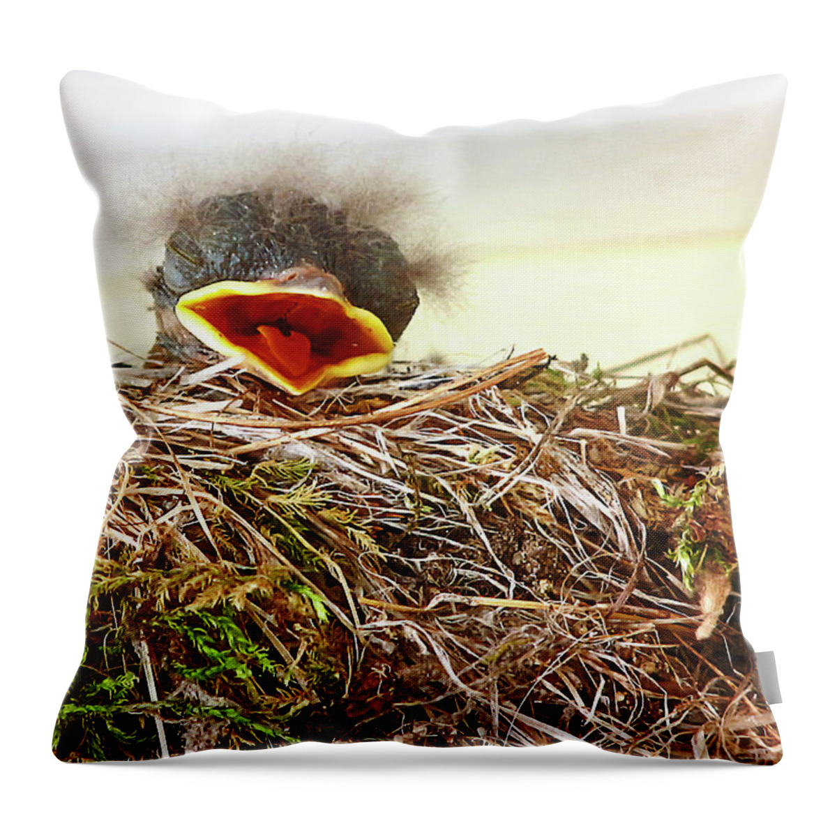Bird Throw Pillow featuring the photograph Baby Bird by Natalie Rotman Cote