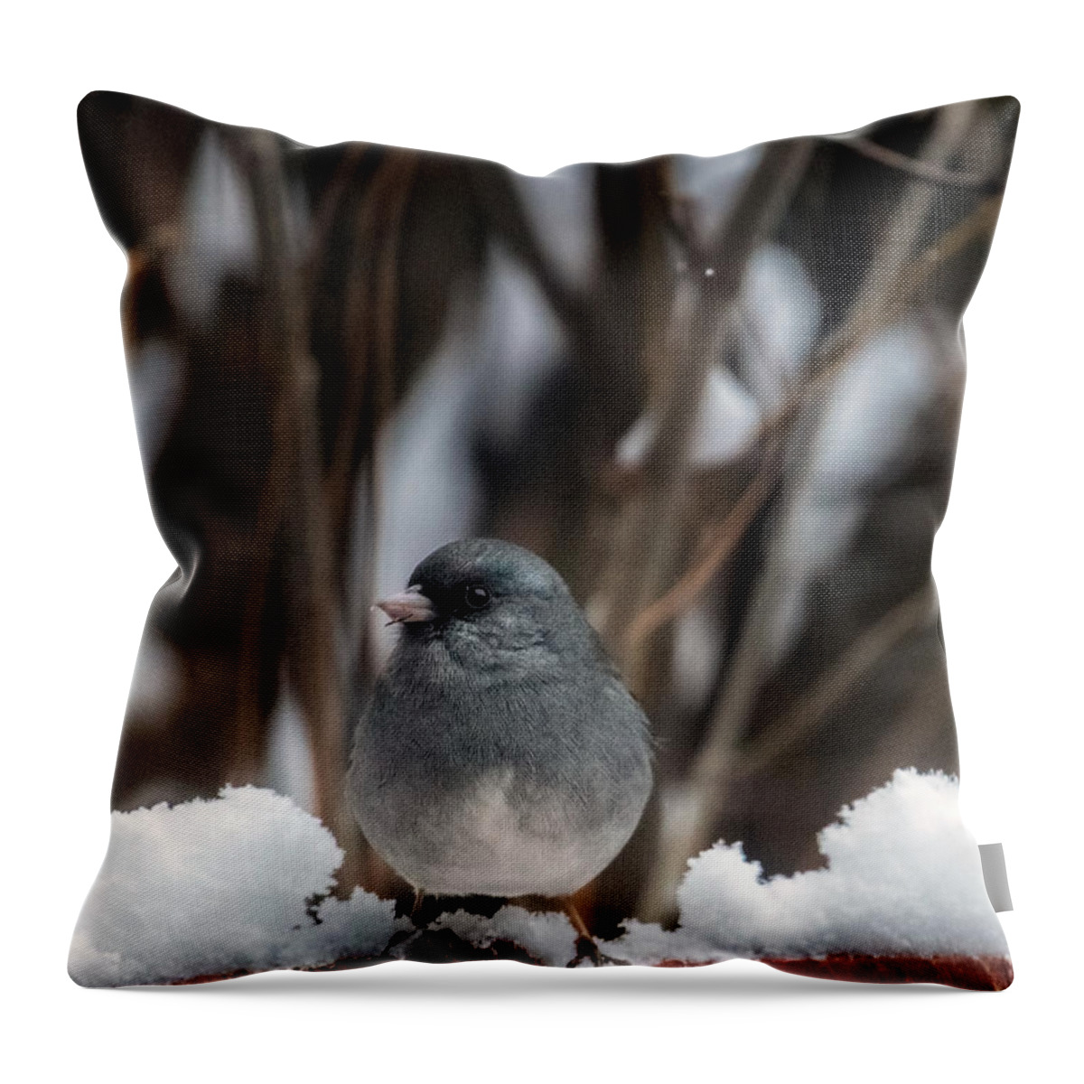 Junco Throw Pillow featuring the photograph Baby, it's Cold Outside by Laura Putman