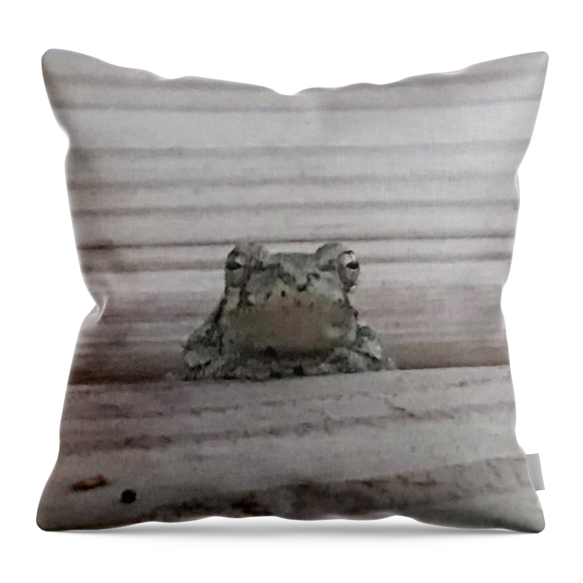 Frog Throw Pillow featuring the photograph Back Porch Wood Frog by Mary Kobet