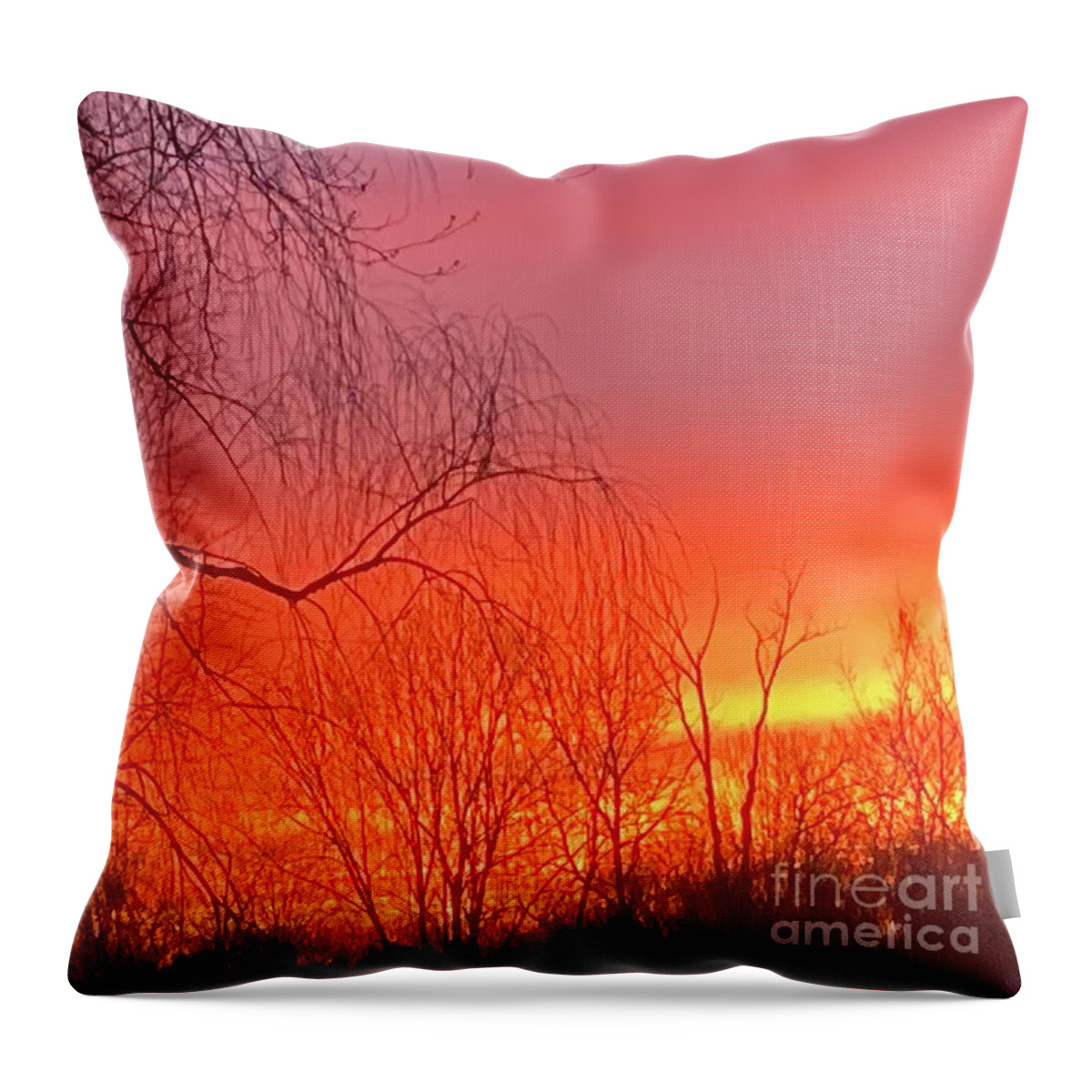  Throw Pillow featuring the photograph BackyardSkyShow by Mary Kobet