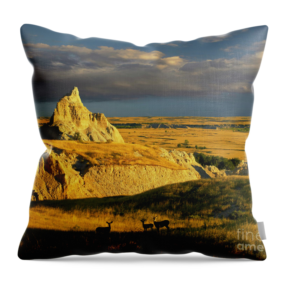 00175613 Throw Pillow featuring the photograph Badlands Mule Deer by Tim Fitzharris
