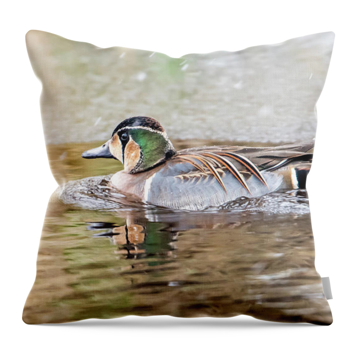 Baikal Teal Throw Pillow featuring the photograph Baikal Teal, a beautiful and rare visitor in Sweden by Torbjorn Swenelius