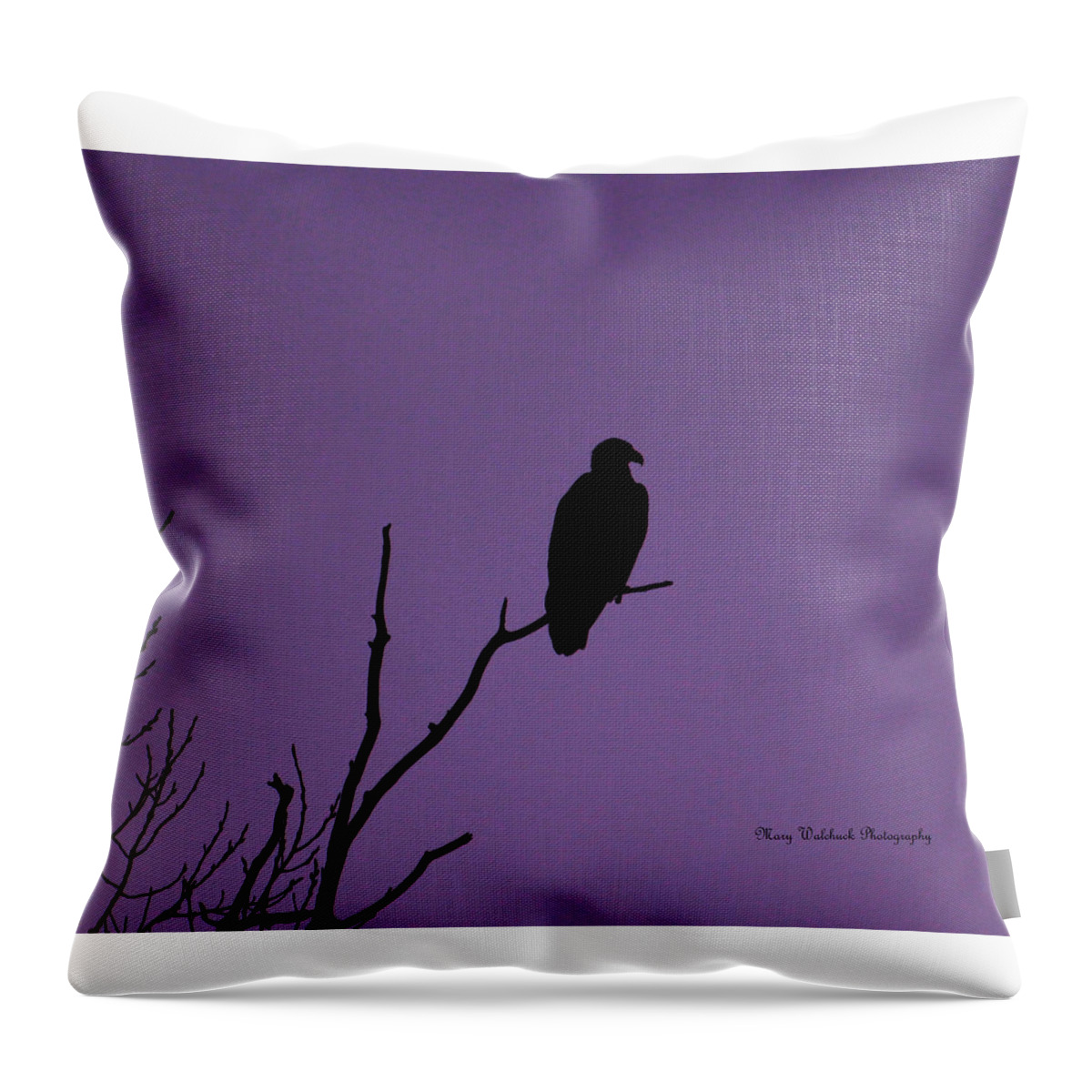 Eagle Throw Pillow featuring the photograph Bald Eagle in Silhouette by Mary Walchuck