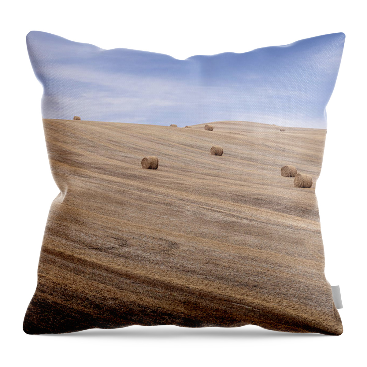 Alberta Throw Pillow featuring the photograph Bales of Hay by Manpreet Sokhi