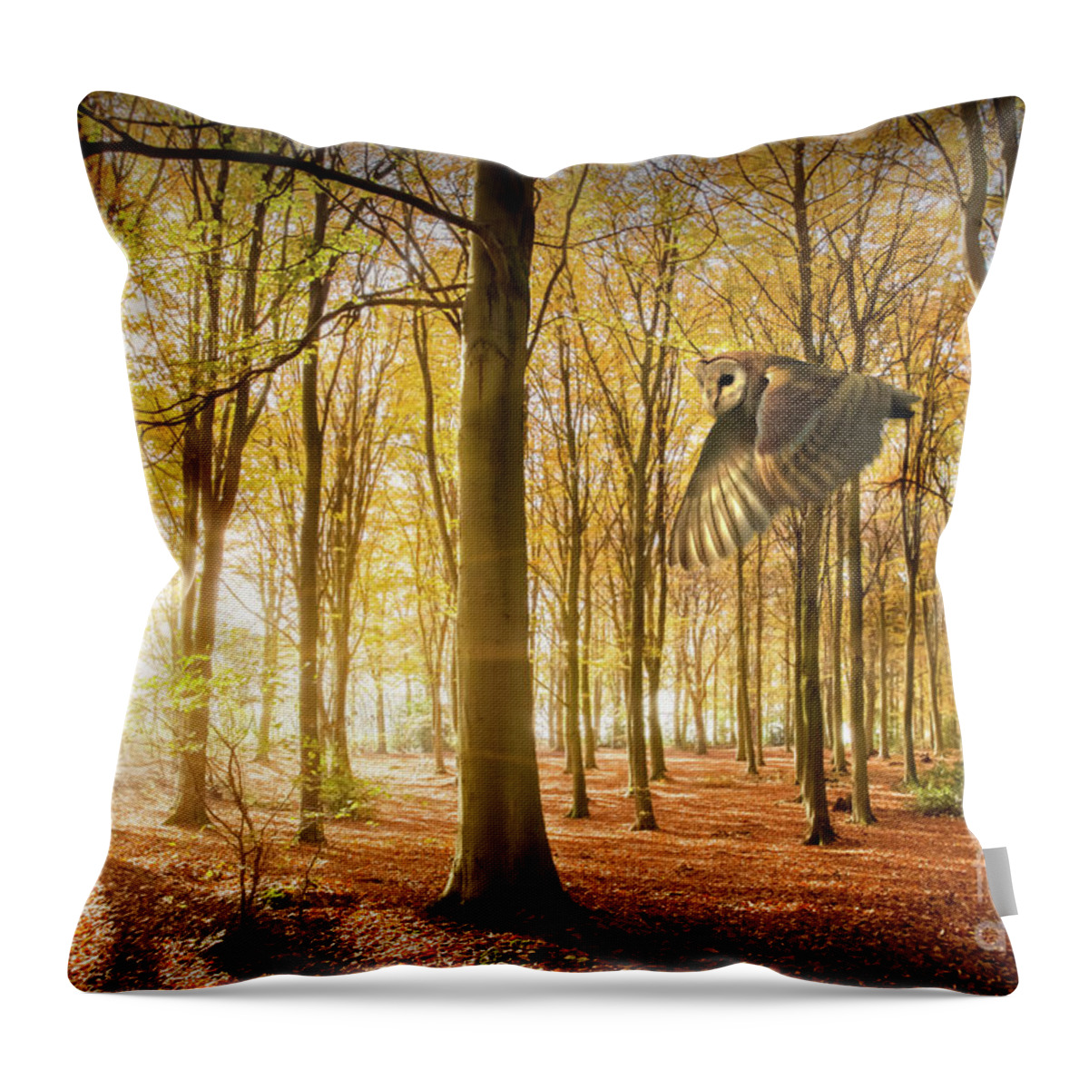 Autumn Throw Pillow featuring the photograph Barn owl flying in autumn woodland by Simon Bratt