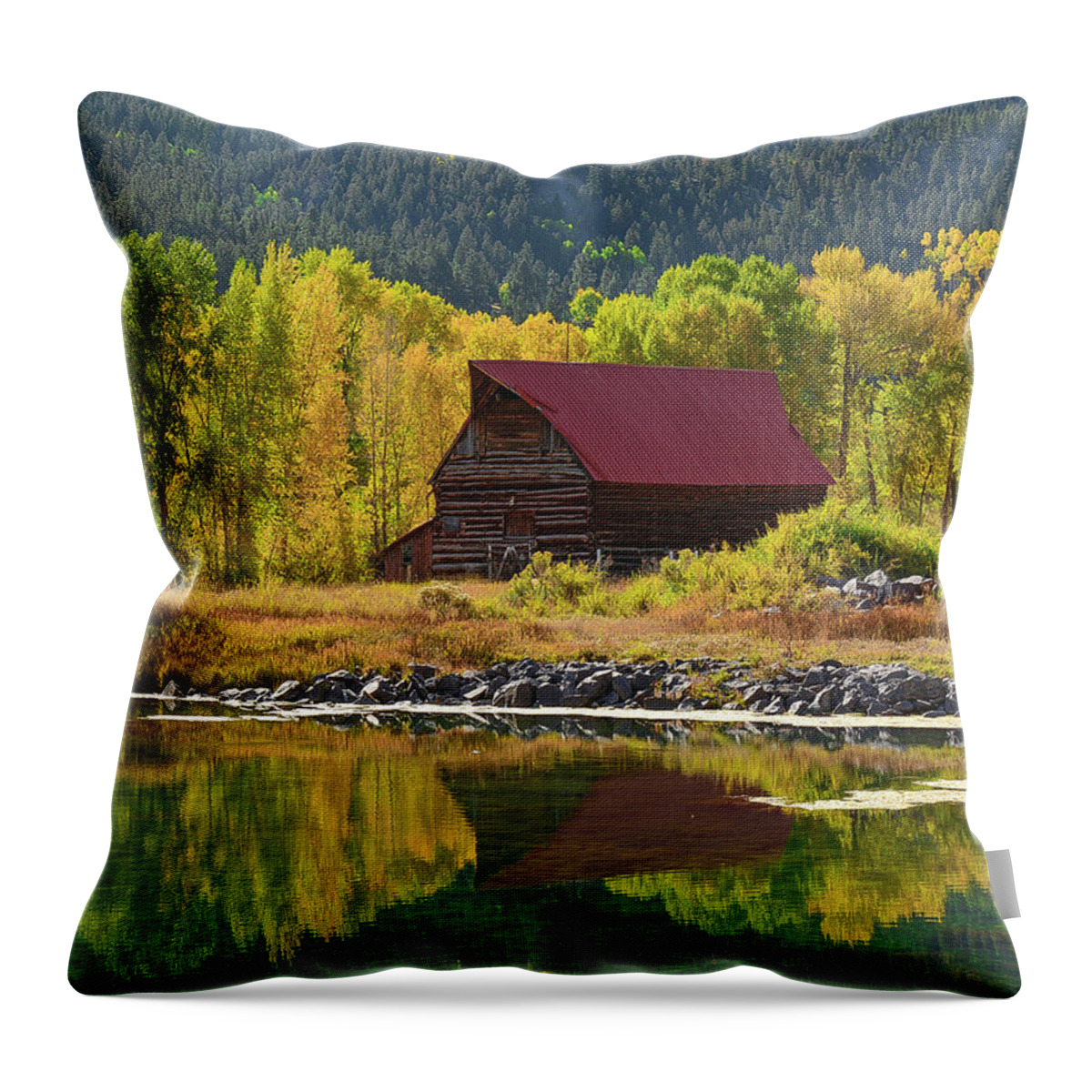 Barn Throw Pillow featuring the photograph Barn Refelction by Aaron Spong