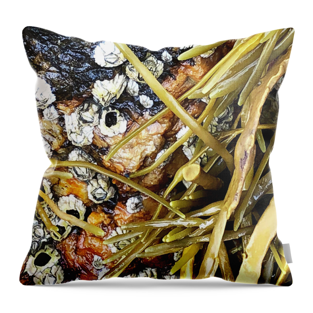 Ocean Throw Pillow featuring the digital art Barnacles and Weed by Nancy Olivia Hoffmann