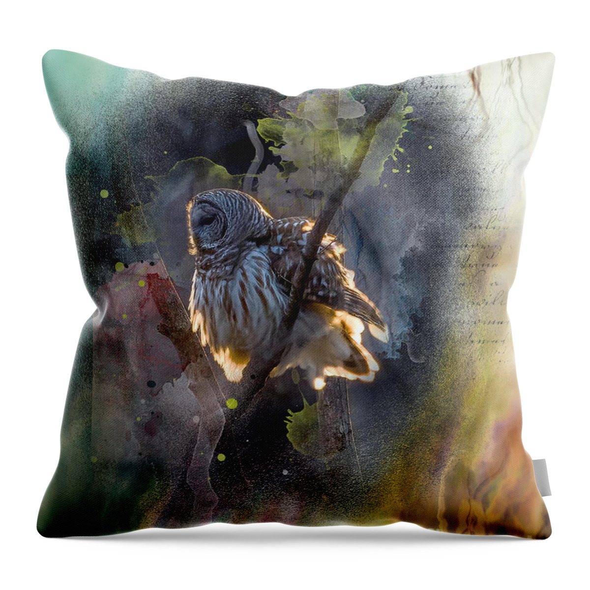 Barred Owl Throw Pillow featuring the photograph Barred Owl in a Floof after Preening, Backlit Rimmed in a Golden Sunset by Sandra Rust