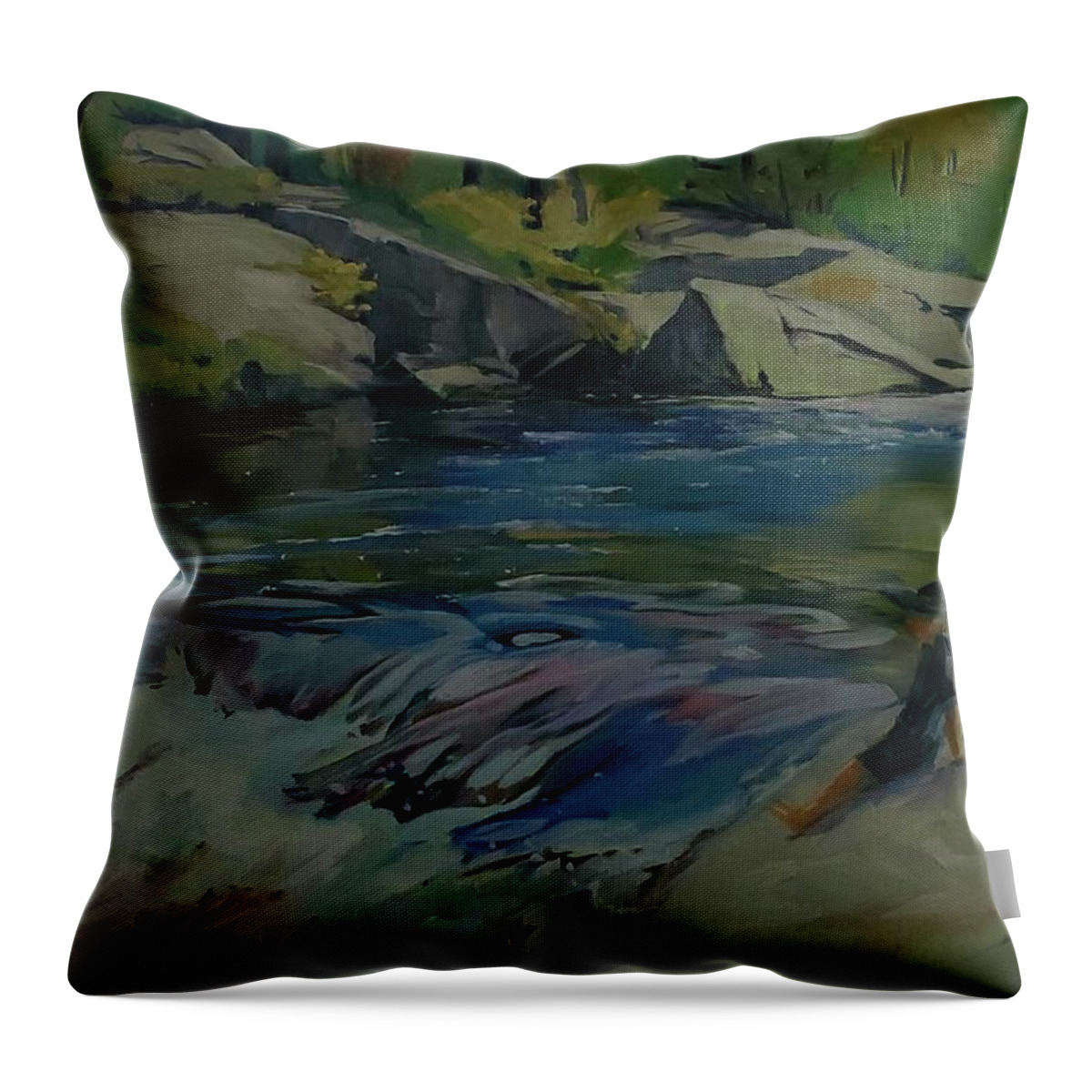 Algonquin Park Throw Pillow featuring the painting Barron Canyon by Sheila Romard