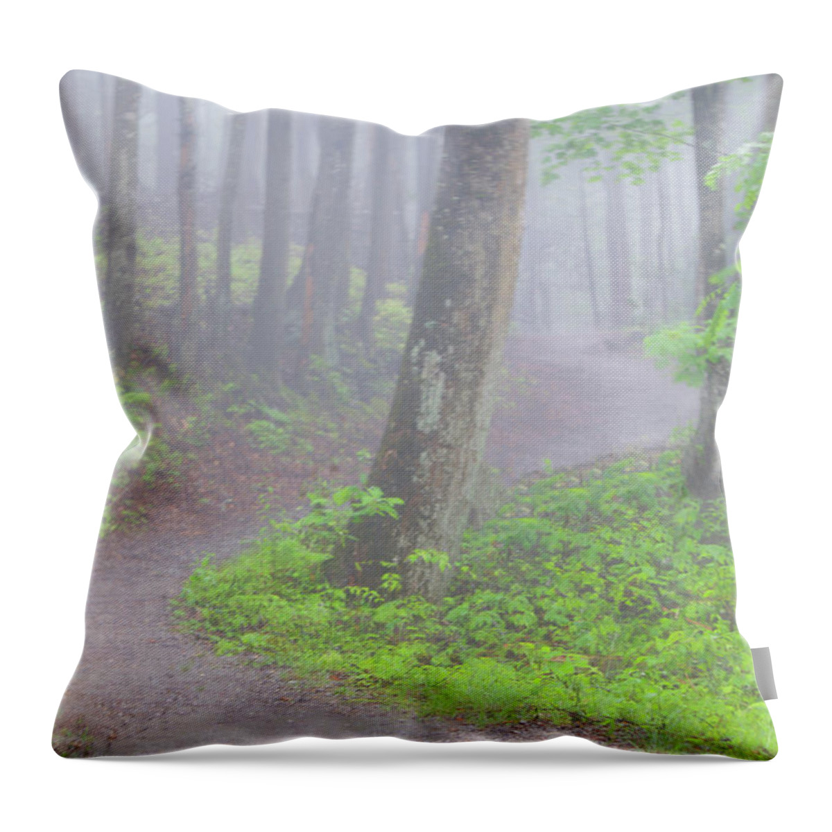Art Prints Throw Pillow featuring the photograph Baskins Creek Trail by Nunweiler Photography