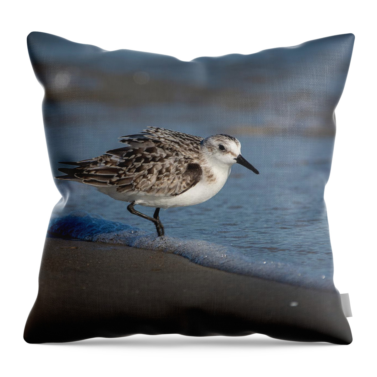 Bird Throw Pillow featuring the photograph Beach Bully by Linda Bonaccorsi