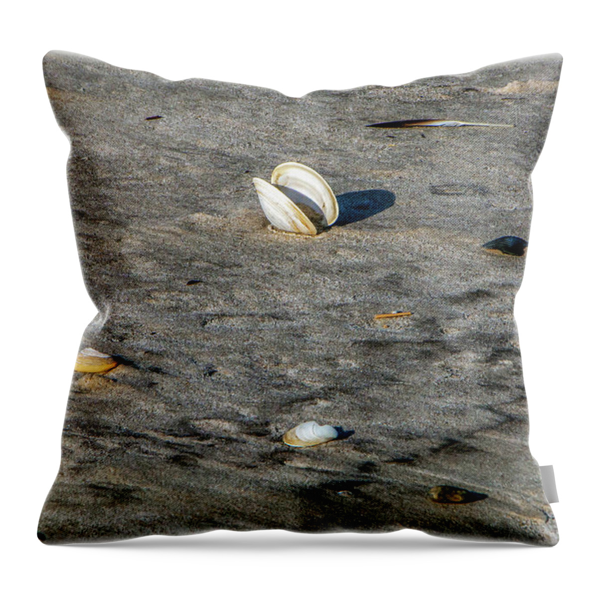 Sand Throw Pillow featuring the photograph Beach Things by Cathy Kovarik