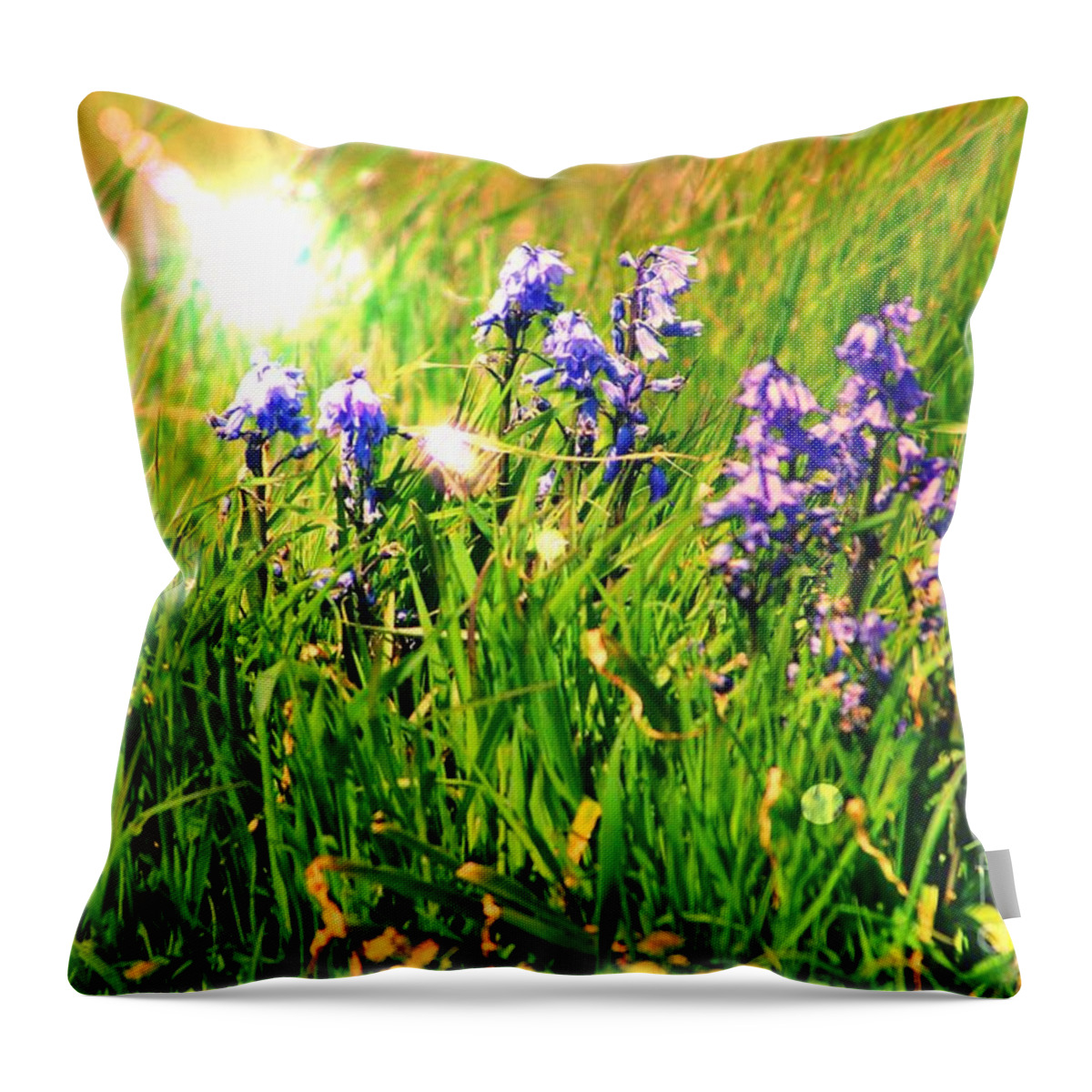 Bluebells Throw Pillow featuring the photograph Beams On Bluebells by Kimberly Furey