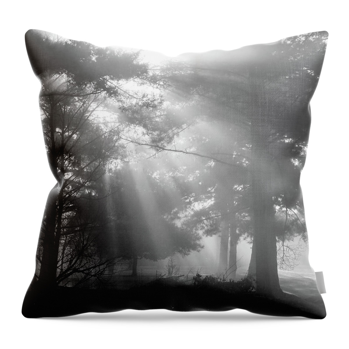 Fine Art Throw Pillow featuring the photograph Beams Through the Trees by Mike McGlothlen
